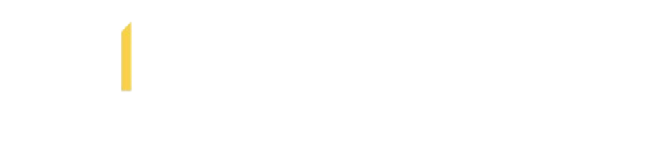 India Bridge Capital Management